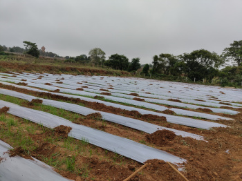 Property for sale in Anekal, Hosur