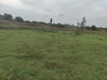 5.5 Ares Agricultural/Farm Land for Sale in Malur, Bangalore