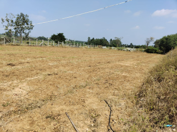 5.5 acres of Agricultural Land fully fenced