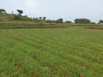 Property for sale in Denkanikottai Road, Hosur