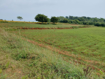 Property for sale in Denkanikottai Road, Hosur