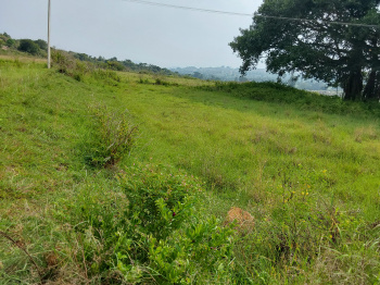 Property for sale in Denkanikottai Road, Hosur