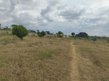 Property for sale in Denkanikottai Road, Hosur