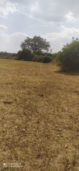 3 acres of Agricultural land near Berigai