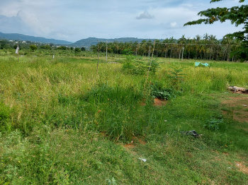 4.35 cents fully fenced Agricultural Land 80 kms from jayanagar