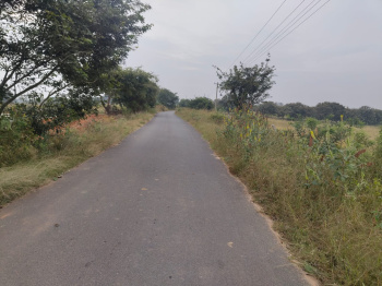 Industrial converted Land next to TAAL AIRPORT HOSUR