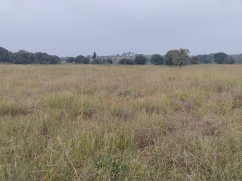 Property for sale in Begapalli, Hosur