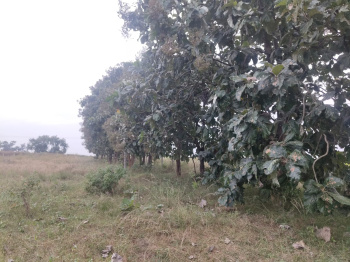 Property for sale in Begapalli, Hosur
