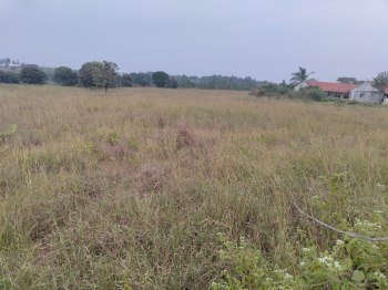 Property for sale in Begapalli, Hosur