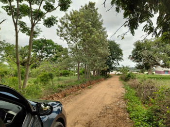 1 acre 59 cents of property 20 kms from new international stadium