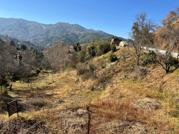 Residential Plot for Sale in Mukteshwar, Nainital (6500 Sq.ft.)