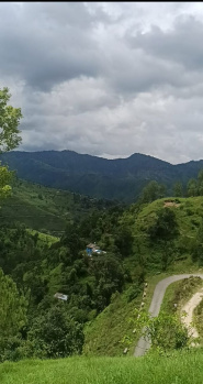 600 Sq. Yards Residential Plot for Sale in Mukteshwar, Nainital