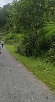 300 Sq. Yards Residential Plot for Sale in Bhimtal, Nainital