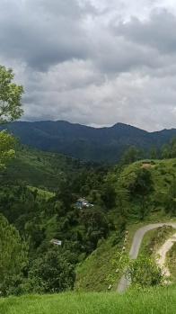 600 Sq. Yards Residential Plot for Sale in Ramgarh, Nainital