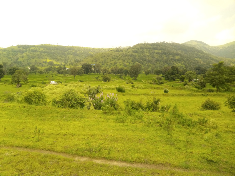 3 Acre Agricultural/Farm Land For Sale In Nasrapur, Pune