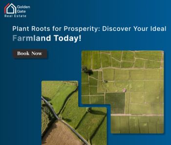 6534000 Sq.ft. Agricultural/Farm Land for Sale in Chandi Kotla, Panchkula
