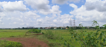 Near Aiims hospital back side sijua patrapoda bhubaneswar