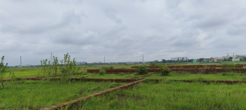 Near Aiims hospital back side sijua patrapoda bhubaneswar