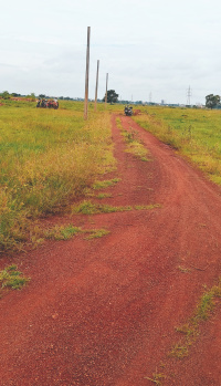 Near Aiims hospital bhubaneswar patrapoda