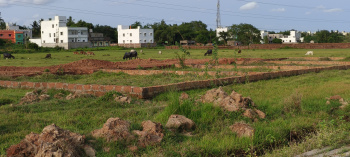 Patrapoda plot for sale patrapoda bhubaneswar