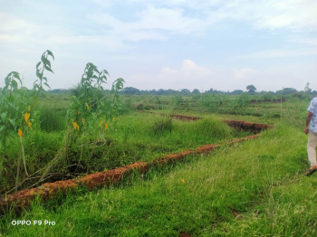 Residential Plot for Sale in Patrapada, Bhubaneswar (1501 Sq.ft.)