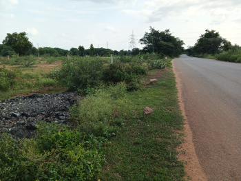 2 Acre Agricultural/Farm Land For Sale In Penukonda, Anantapur (3 Acre)