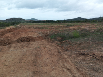 13 Acre Agricultural/Farm Land For Sale In Palasamudram, Anantapur