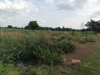 10 Acre Agricultural/Farm Land for Sale in Somandepalli, Anantapur (8.5 Acre)