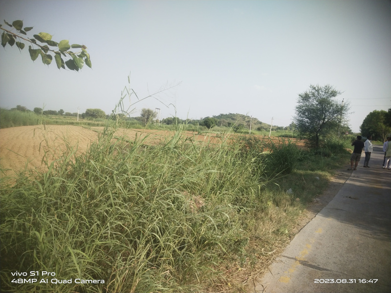 1 Acre Agricultural/Farm Land For Sale In Alwar