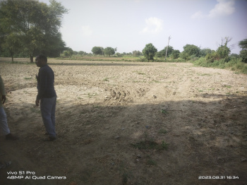 20 Bigha Agricultural/Farm Land for Sale in Alwar