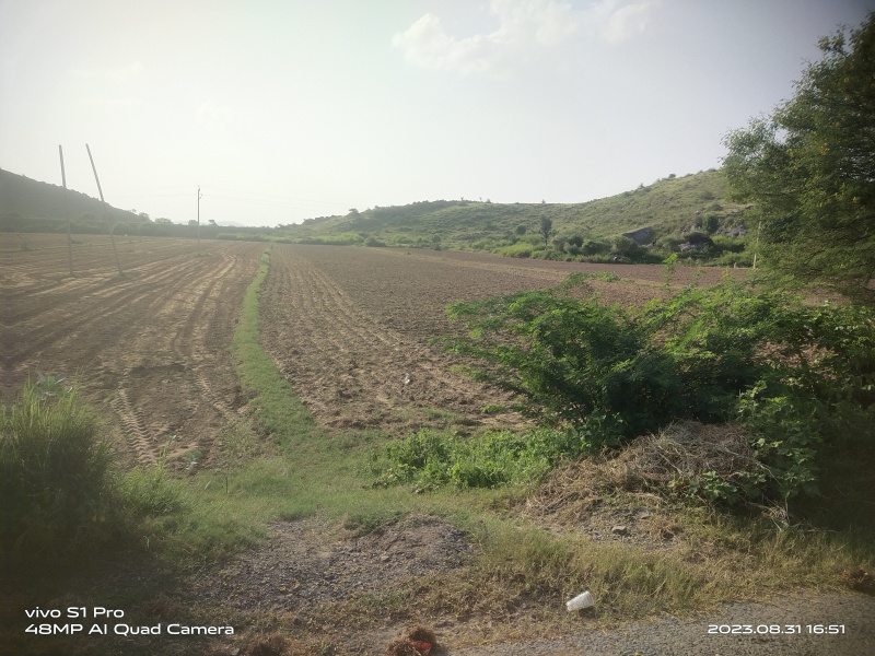 1 Bigha Agricultural/Farm Land For Sale In Ramgarh, Alwar
