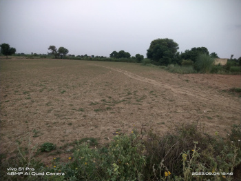 12 Bigha Agricultural/Farm Land for Sale in Alwar