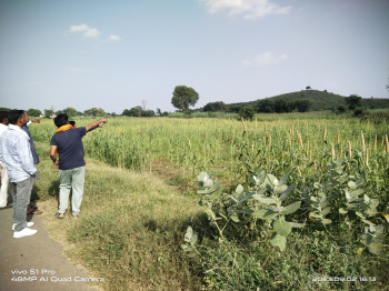 19 Bigha Agricultural/Farm Land for Sale in Alwar