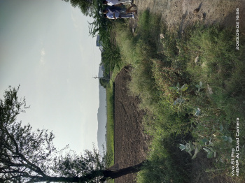 6.5 Bigha Agricultural/Farm Land for Sale in Alwar