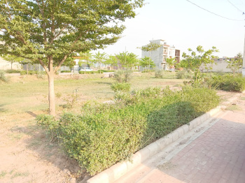 125 Gaz Plots , Sector 123 Mohali, Airport rd entry.