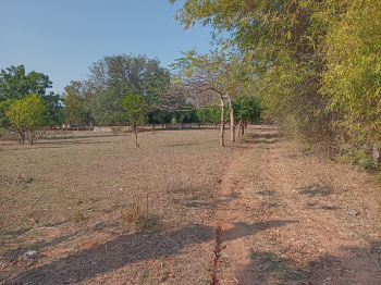 4 Acre Agricultural/Farm Land for Sale in Kurai, Seoni