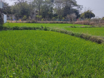 17000 Sq.ft. Agricultural/Farm Land for Sale in Khawasa, Seoni