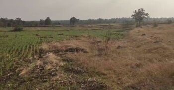 26 Acre Agricultural/Farm Land for Sale in Bichhua, Chhindwara