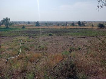 14 Acre Agricultural/Farm Land for Sale in Chakki Khamriya, Seoni