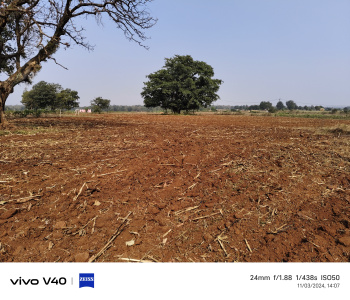 6.50 Acre Agricultural/Farm Land for Sale in Gopalganj, Seoni