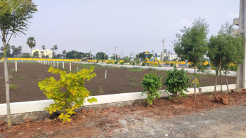 sree city open plots ,villas ,houses