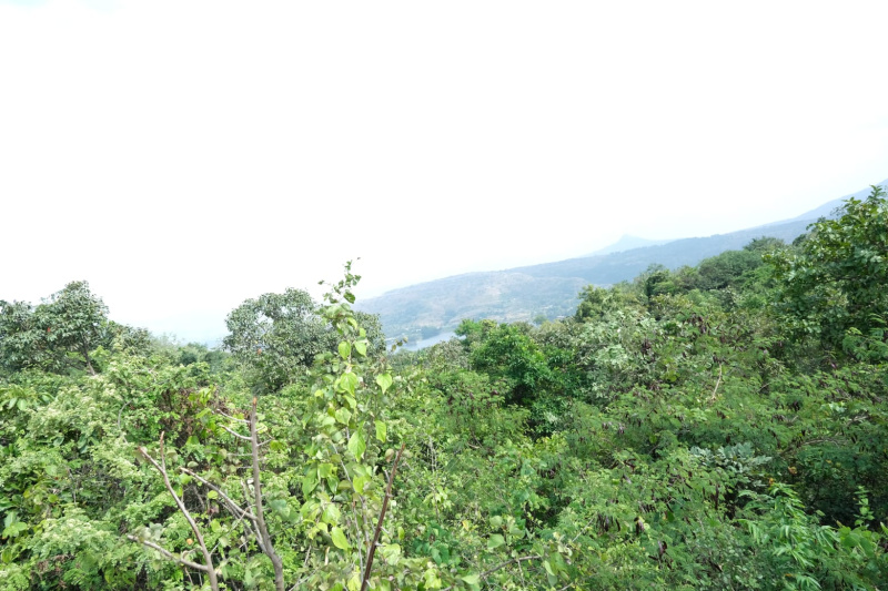 1 Acre Agricultural/Farm Land For Sale In Lonavala Road, Pune