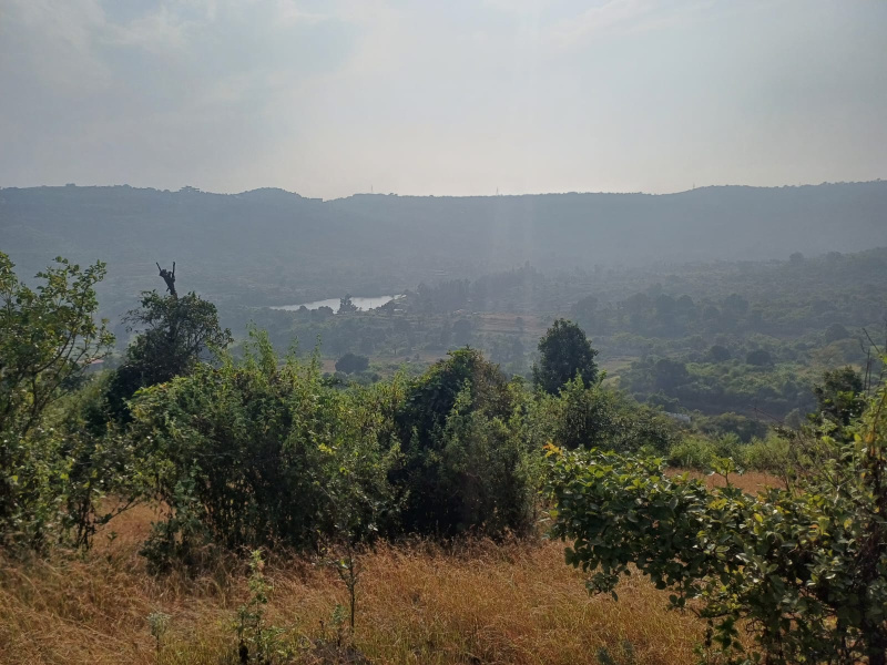 2 Acre Agricultural/Farm Land For Sale In Lonavala Road, Pune