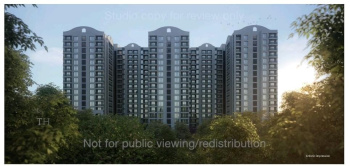 3 BHK Flats & Apartments for Sale in Dhanori, Pune (1230 Sq.ft.)