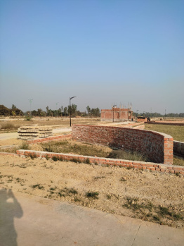 900 Sq.ft. Residential Plot for Sale in Shyam Vihar, Delhi