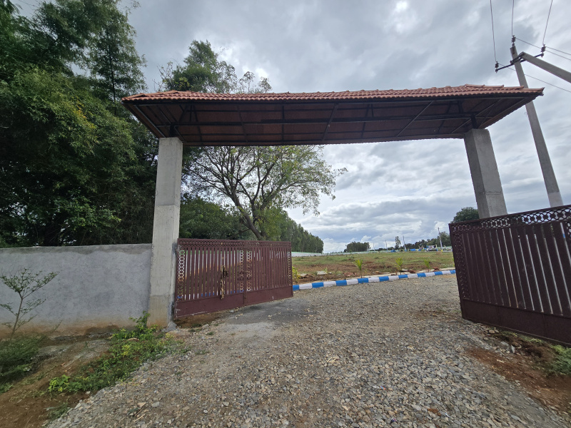 FARM LAND,CLEAR DOCUMENTS, READY TO REGISTER