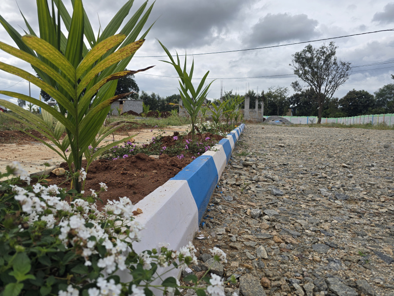 FARM LAND,CLEAR DOCUMENTS, READY TO REGISTER