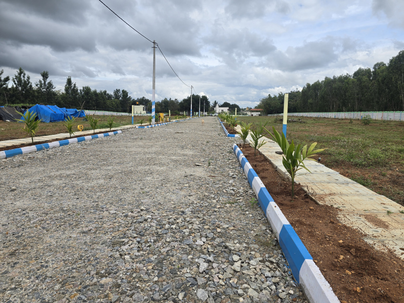 FARM LAND,CLEAR DOCUMENTS, READY TO REGISTER