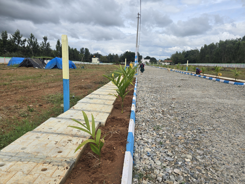 FARM LAND,CLEAR DOCUMENTS, READY TO REGISTER
