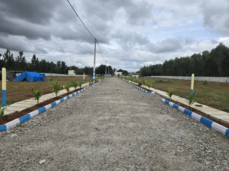 FARM LAND,CLEAR DOCUMENTS, READY TO REGISTER